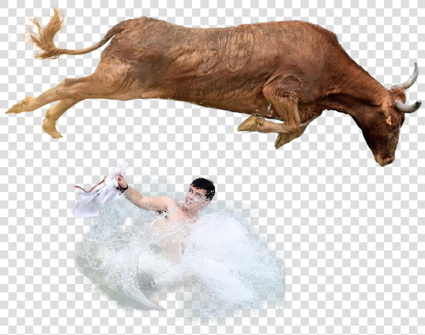 Pamplona Bull Run  HD Png DownloadTransparent PNG