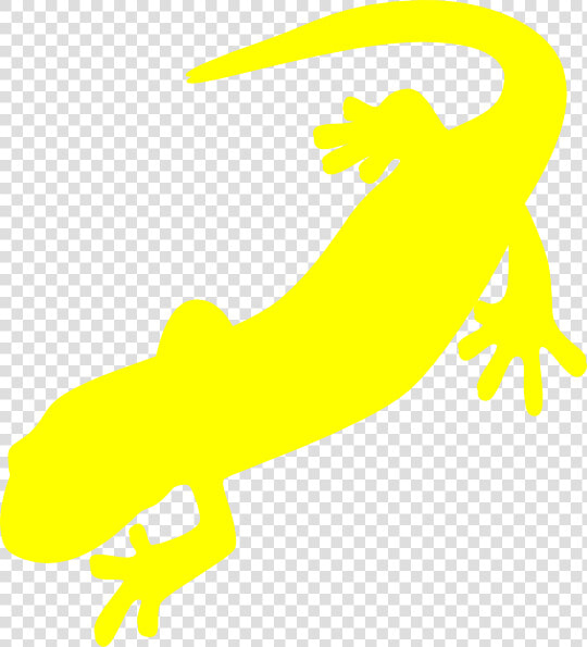 Salamander Png  Transparent PngTransparent PNG