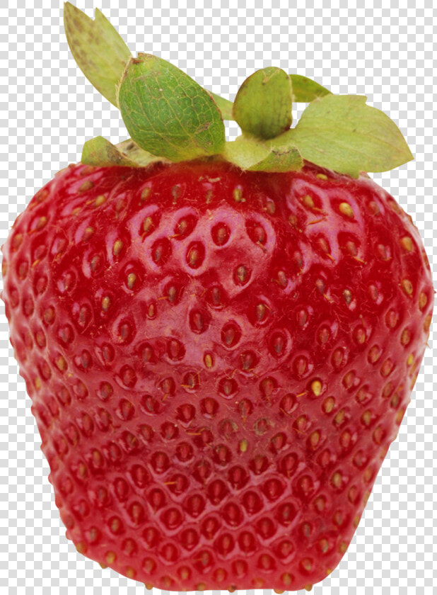 Strawberry Png Free Download   Клубника Png  Transparent PngTransparent PNG