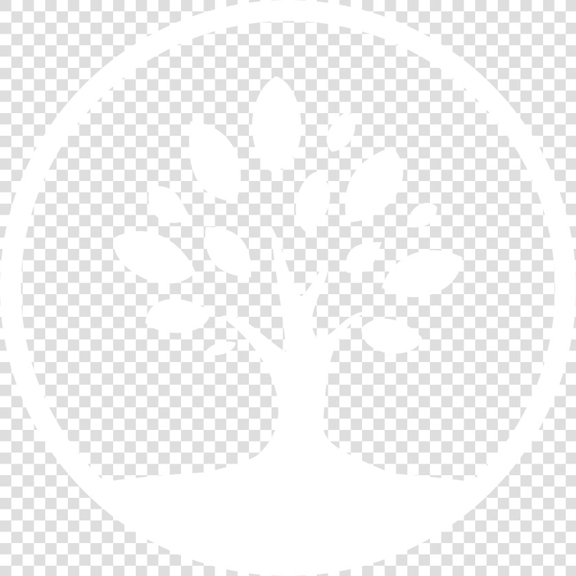 Tree Top Pediatric Logo  HD Png DownloadTransparent PNG