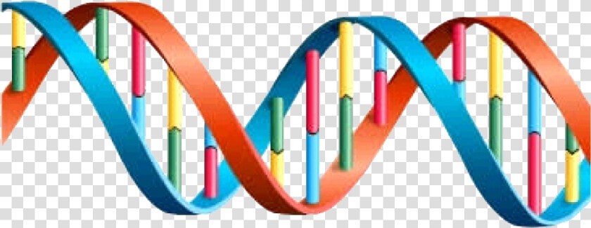 Colorful Park Dna Image   Dna Helix  HD Png DownloadTransparent PNG