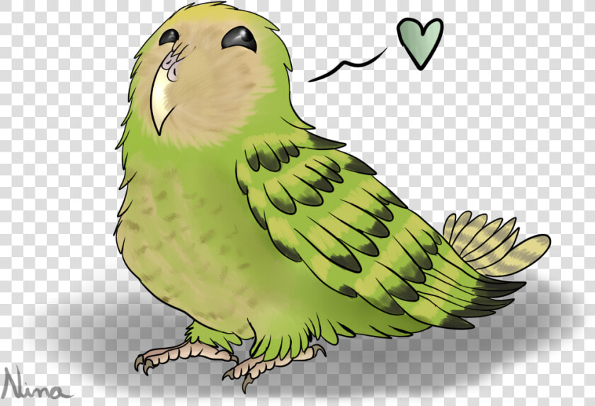 Drawn Parakeet Kakapo   Kakapo Png  Transparent PngTransparent PNG