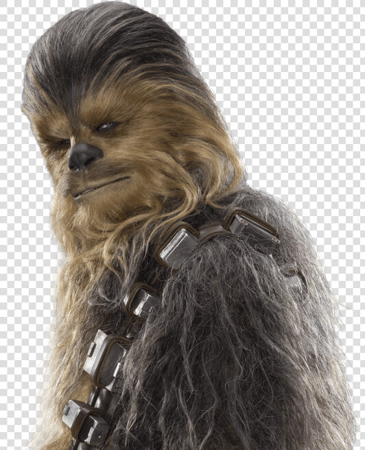 Transparent Chewbacca Png   Happy Star Wars Day Wookie  Png DownloadTransparent PNG