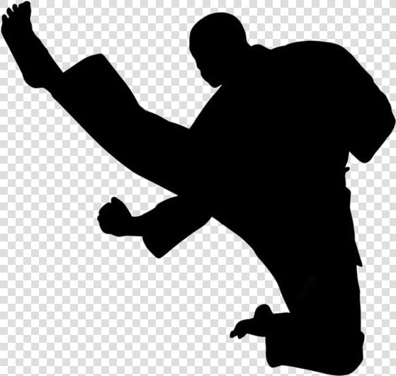 Transparent Taekwondo   Silhouette  HD Png DownloadTransparent PNG