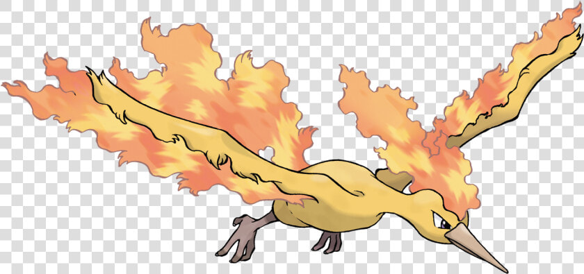 Moltres Pokemon  HD Png DownloadTransparent PNG