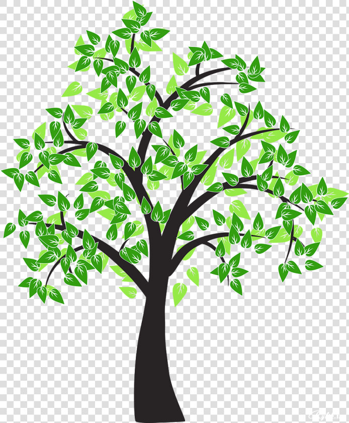 Tree Drawing Cottonwood Leaf   Tree Drawing Transparent Background  HD Png DownloadTransparent PNG