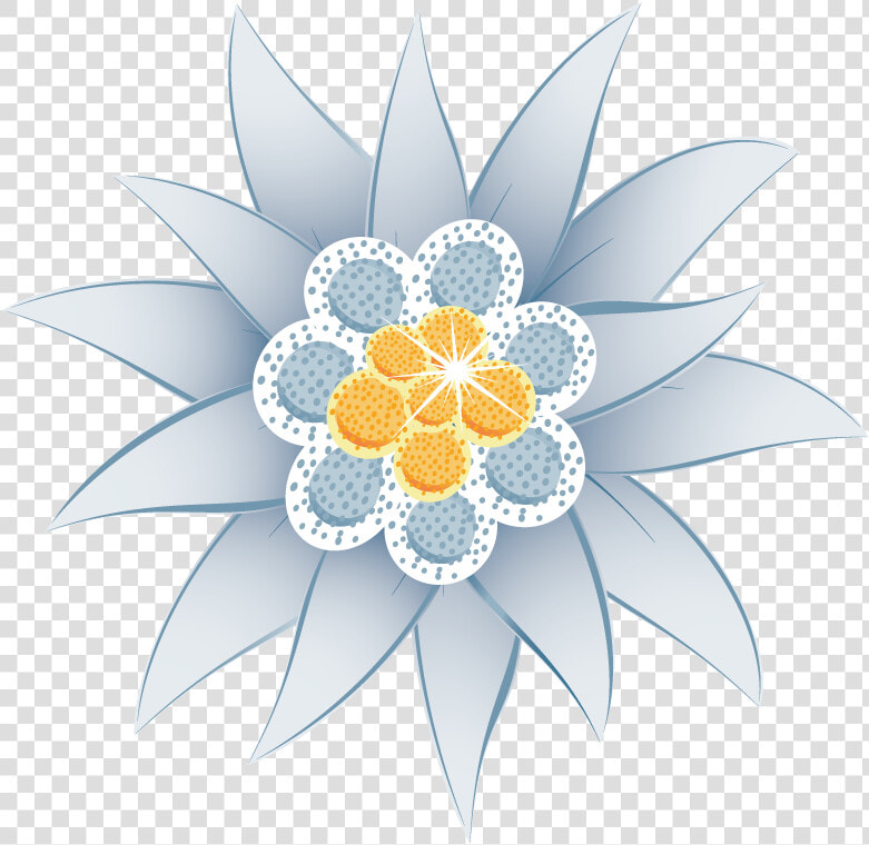 Transparent Edelweiss Flower Clipart   Edelweis Png  Png DownloadTransparent PNG