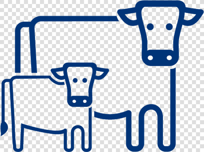 Cow calf   Cow Calf Production  HD Png DownloadTransparent PNG