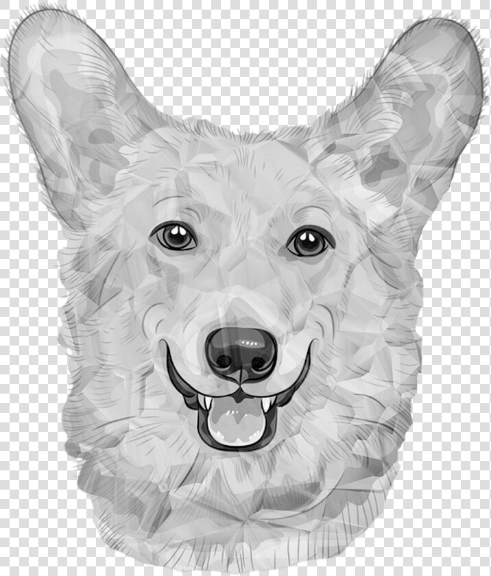 Dog German Dog White Dogs Free Photo   Dog  HD Png DownloadTransparent PNG