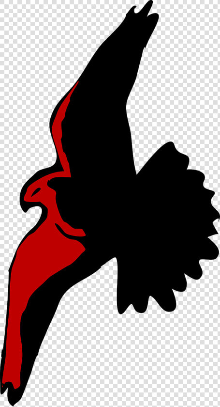 Eagle Silhouette Spread Flying Png Image   Flying Eagle Illustration Png  Transparent PngTransparent PNG