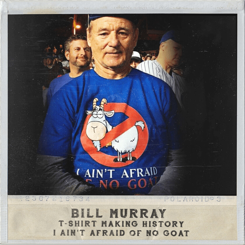 Bill Murray Cubs Meme  HD Png DownloadTransparent PNG