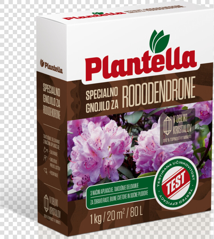 Trava Plantella  HD Png DownloadTransparent PNG