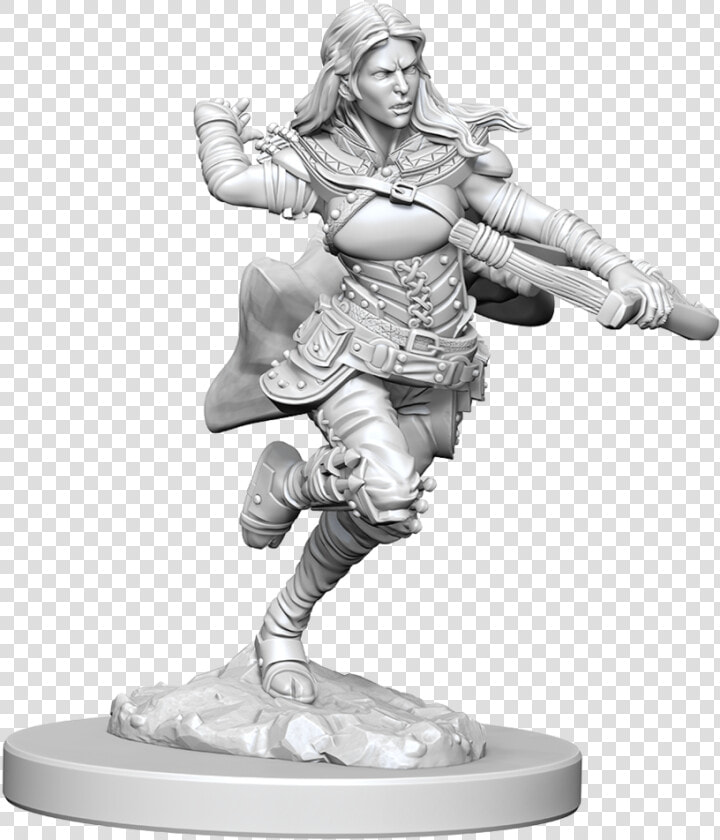 Air Genasi Rogue   Air Genasi Female Rogue  HD Png DownloadTransparent PNG