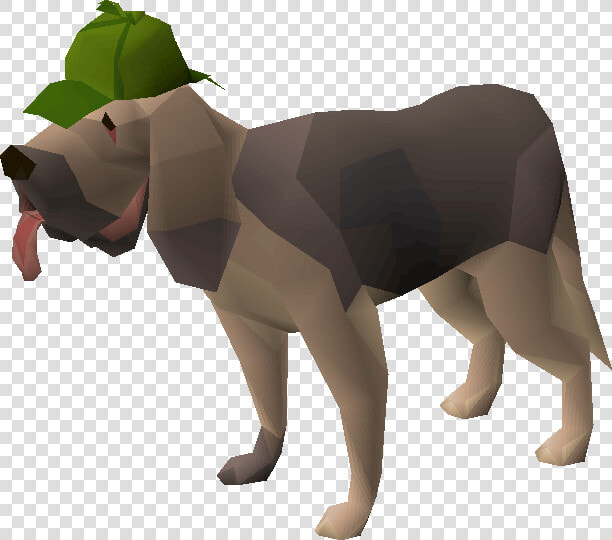 Old School Runescape Wiki   Osrs Clue Scroll Pet  HD Png DownloadTransparent PNG