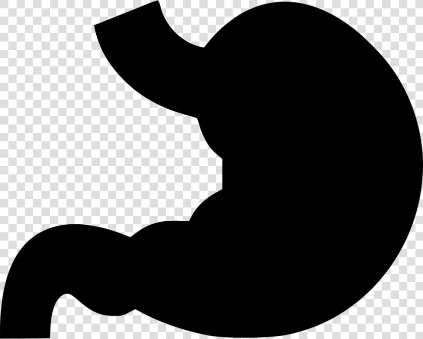 Svg Png Icon Free   Stomach Icon  Transparent PngTransparent PNG