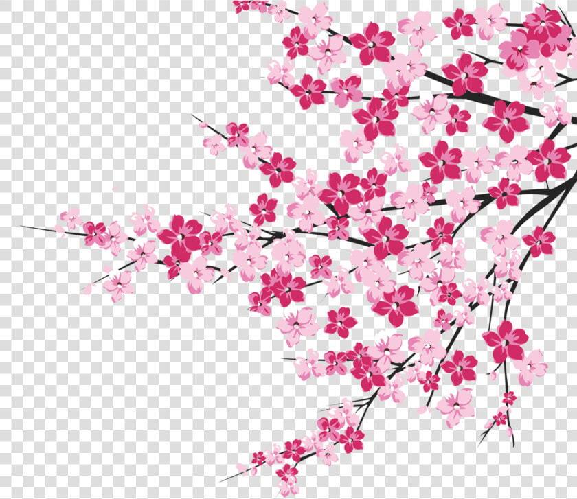 64 Cherry Blossom Tree Branch Cliparts For Your Inspiration   Cherry Blossom Tree Clipart  HD Png DownloadTransparent PNG