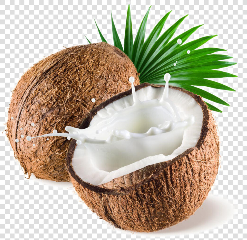 Transparent Coconut Png Images   Transparent Background Coconut Png  Png DownloadTransparent PNG