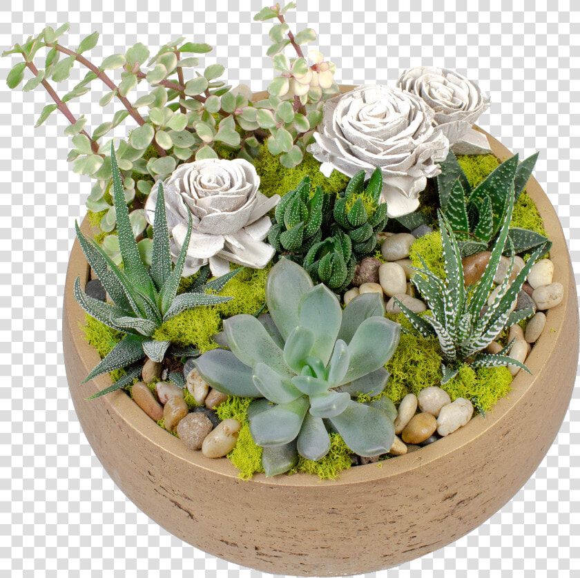 Flowerpot  HD Png DownloadTransparent PNG