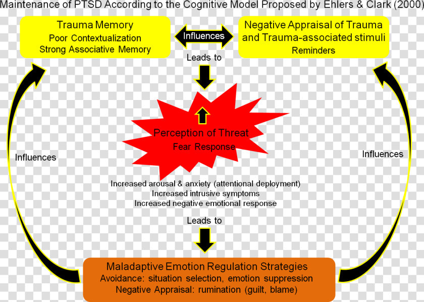 Cognitive Model   Cognitive Model Ptsd  HD Png DownloadTransparent PNG