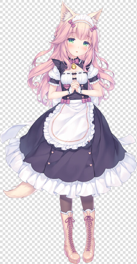 Fraise Nekopara Maid  HD Png DownloadTransparent PNG