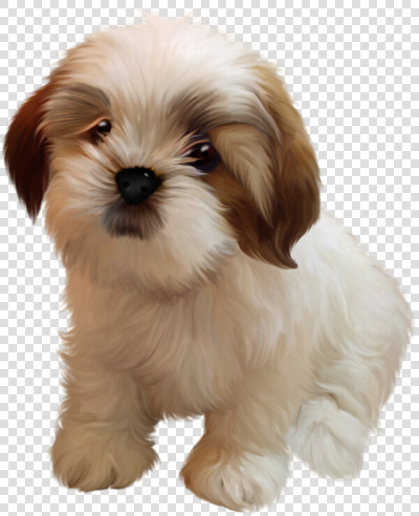 Cute Shih Tzu Clipart   Png Download   Transparent Shih Tzu Clipart  Png DownloadTransparent PNG