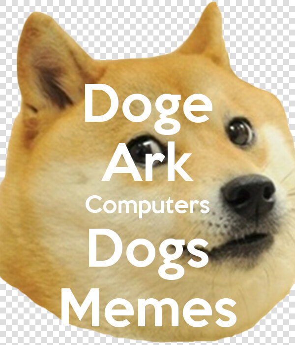 Doge Ark Computers Dogs Memes   Foxhound  HD Png DownloadTransparent PNG