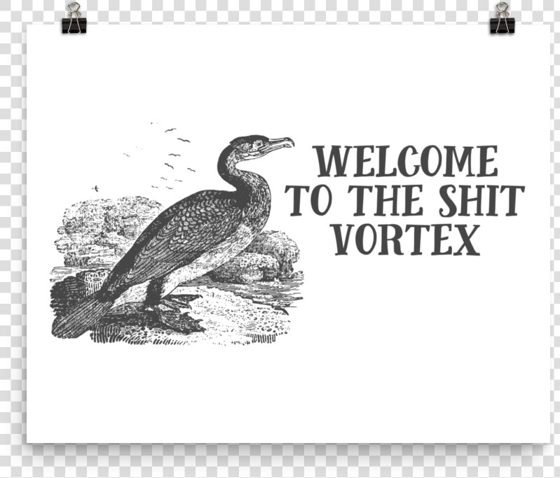 Effin Birds   Dodo   Effin Birds Welcome To The Shit Vortex  HD Png DownloadTransparent PNG