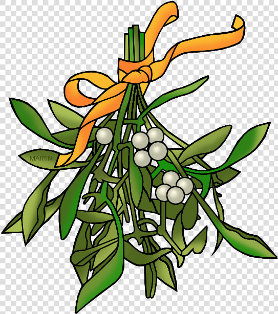 Mistletoe   Clip Art  HD Png DownloadTransparent PNG