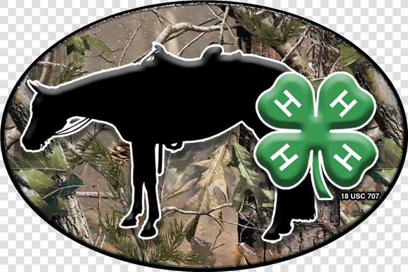 Transparent 4h Clipart   Realtree Camo Background  HD Png DownloadTransparent PNG