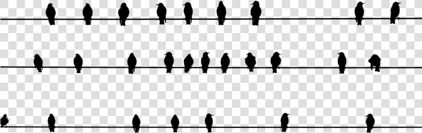 Array Of Perched Birds Silhouette   Silhouette  HD Png DownloadTransparent PNG