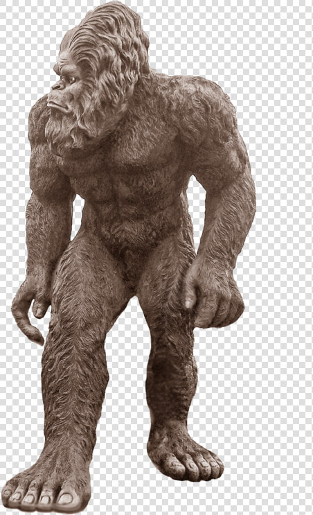 Sasquatch Png  Transparent PngTransparent PNG