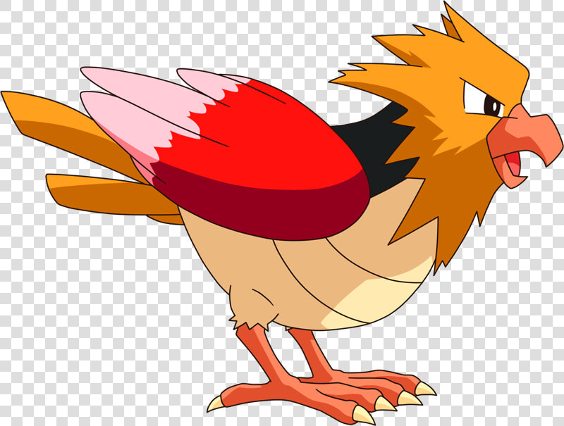 Pokemon Spearow  HD Png DownloadTransparent PNG