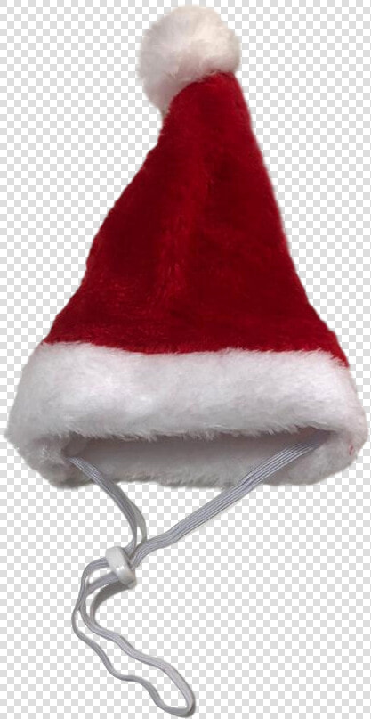 Gorro Touca Pet Papai Noel   Santa Claus  HD Png DownloadTransparent PNG