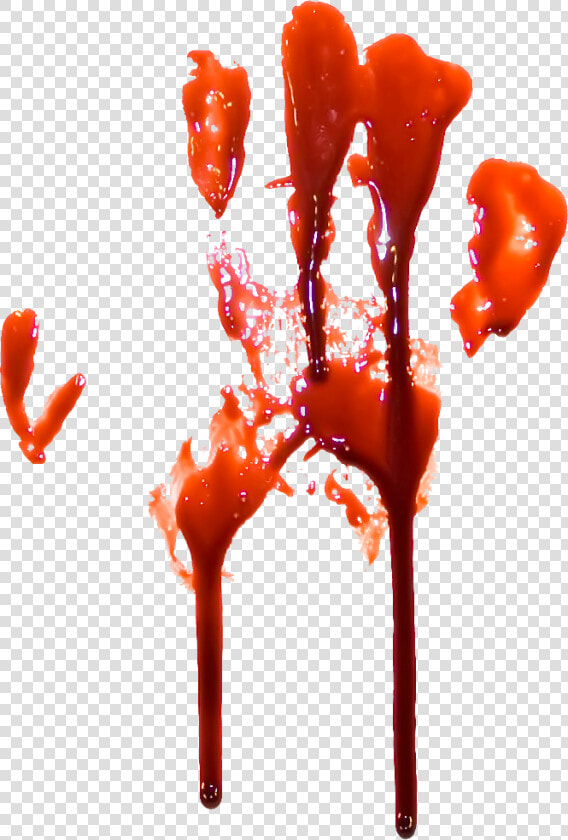 Bloody Handprint Four   Bloody Hand Print Transparent Background  HD Png DownloadTransparent PNG