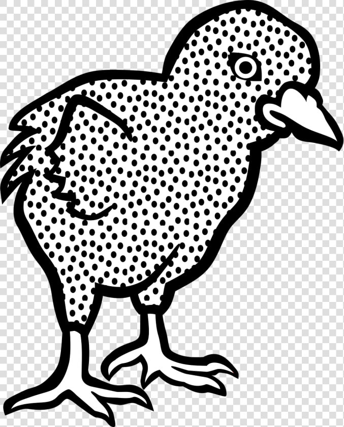 Rhode Island Red Drawings  HD Png DownloadTransparent PNG