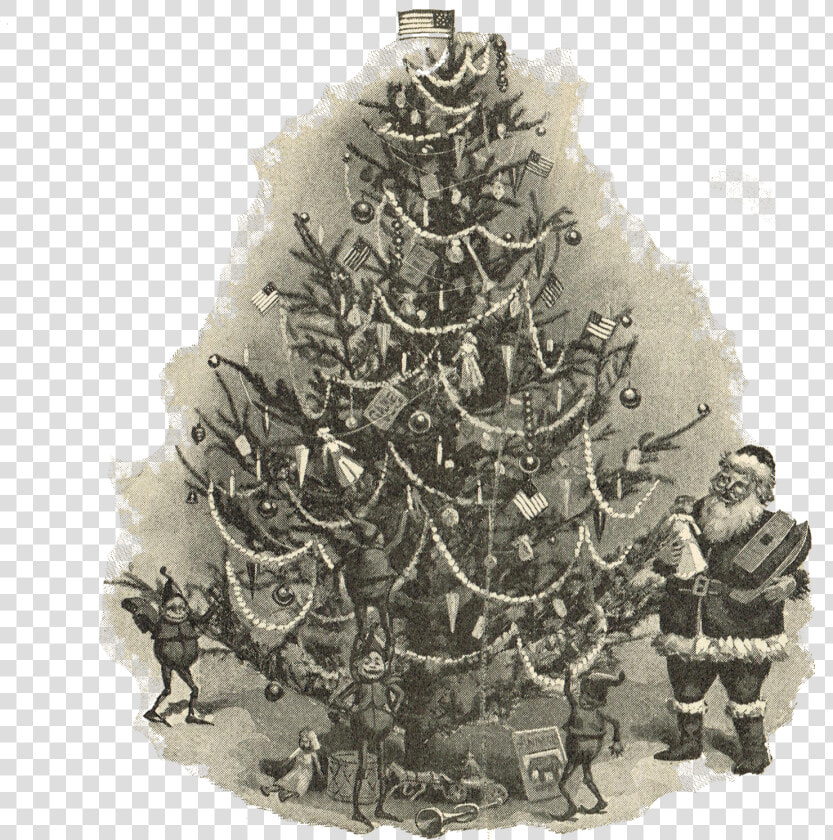 Royalty Free Antique Christmas Tree Illustration Via   Christmas Tree Illustration Vintage  HD Png DownloadTransparent PNG