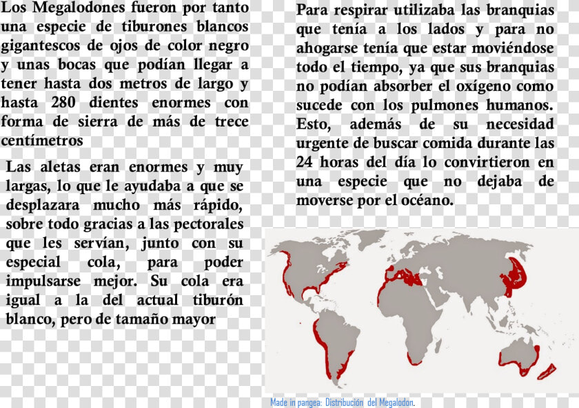 Imagen 3   World Map  HD Png DownloadTransparent PNG