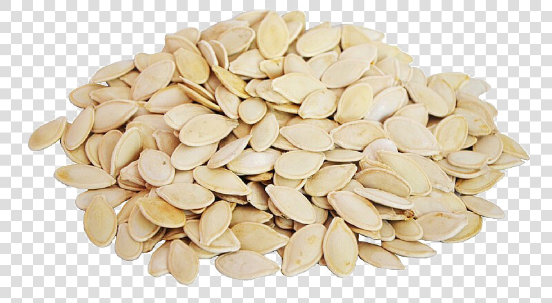 Transparent Pumpkin   Pumpkin Seeds Seeds Png  Png DownloadTransparent PNG