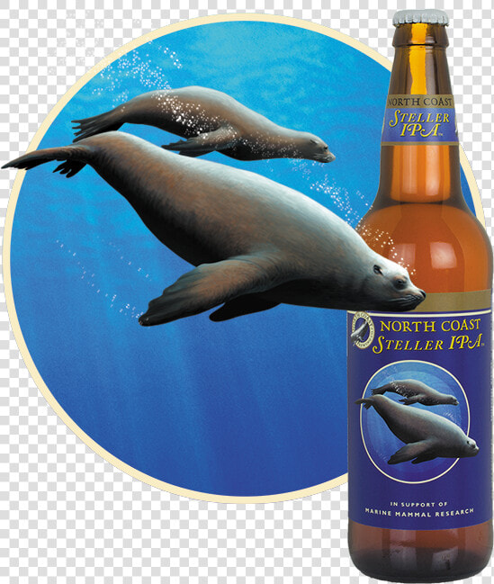 North Coast Stellar Ipa  HD Png DownloadTransparent PNG