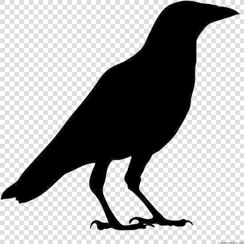 Crow Clipart Silhouette   Outline Images Of Crow  HD Png DownloadTransparent PNG