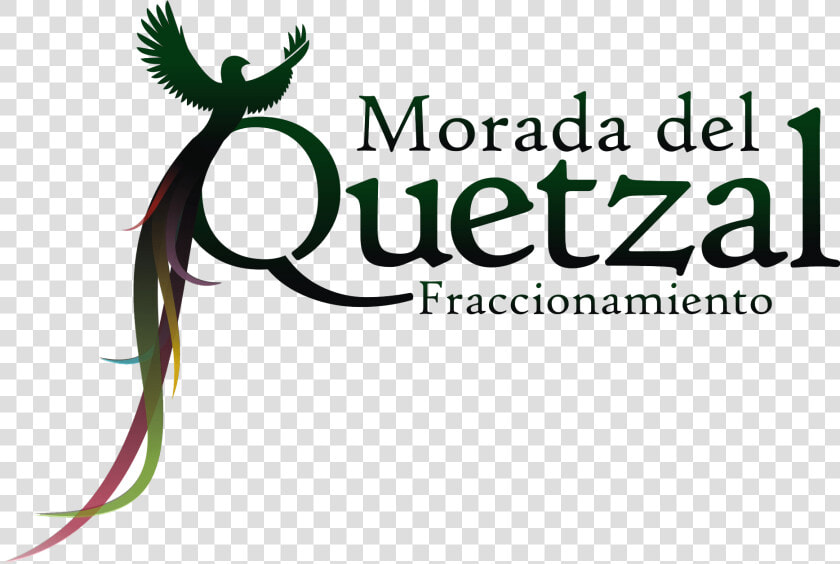 Logo Quetzal Verde  HD Png DownloadTransparent PNG