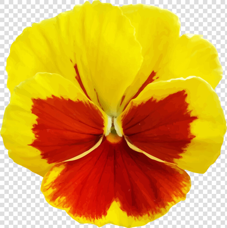 Plant flower seed Plant   Yellow Pansy Flower Png  Transparent PngTransparent PNG