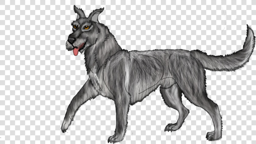 Mixed Breed Great Dane X Irish Wolf Hound Open By Lighteningfox   Fox Hound Wolfhound Mix  HD Png DownloadTransparent PNG