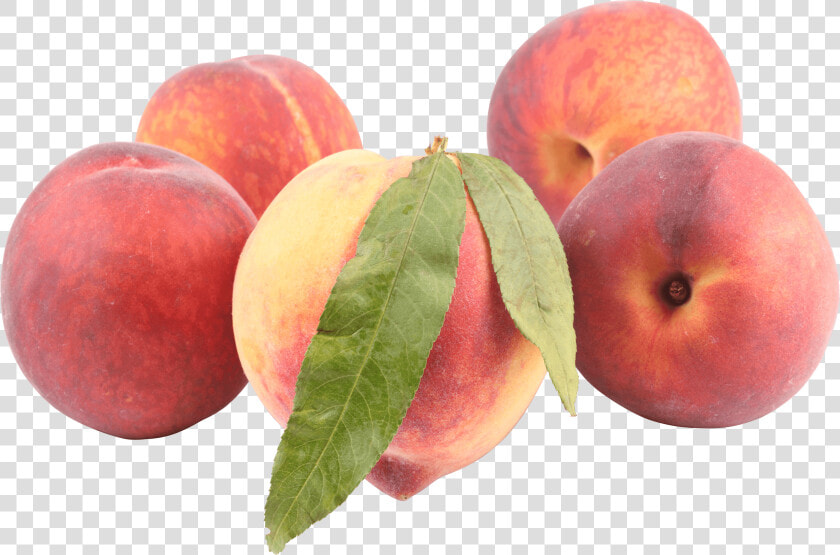 Peaches   Peach Png  Transparent PngTransparent PNG