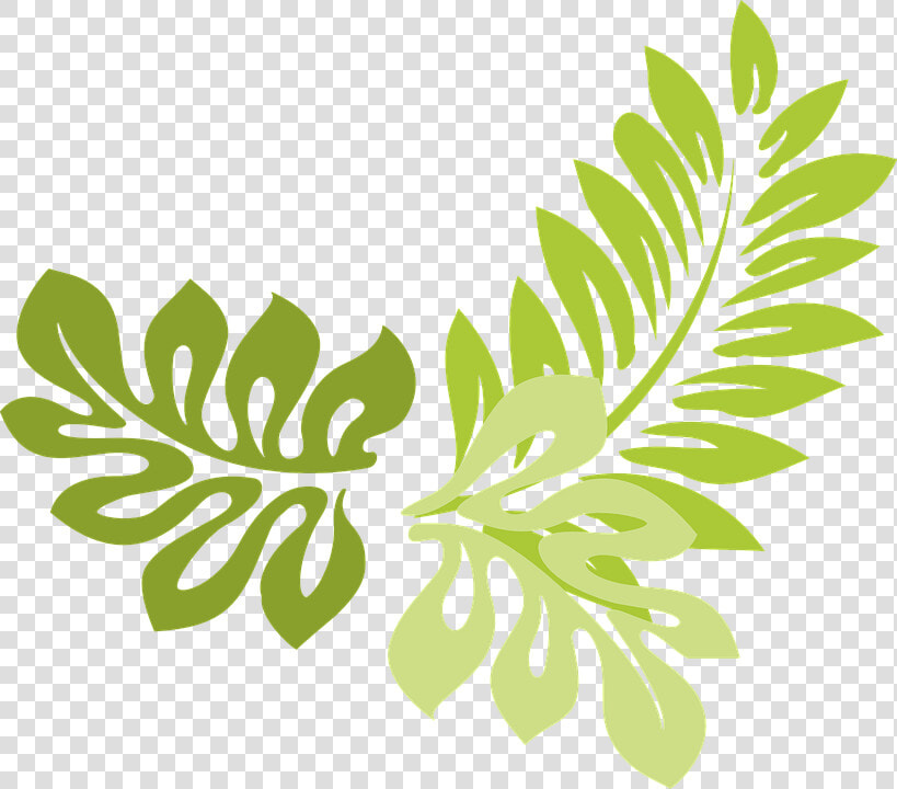 Png Jungle Leaf Transparent Jungle Leaf   Leaves Border Design Transparent  Png DownloadTransparent PNG