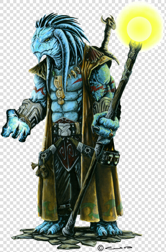 Clipart Octopus Wheke   Male Blue Dragonborn Sorcerer  HD Png DownloadTransparent PNG