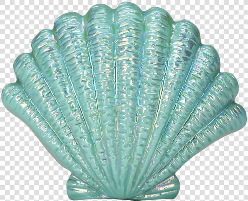 Blue Seashell Png Image   Transparent Background Shells Transparent  Png DownloadTransparent PNG