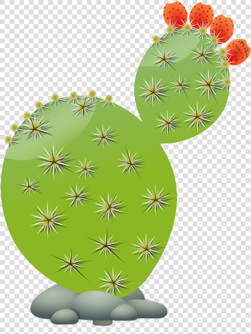 Succulents And Cactus Cactaceae Clip Art   Prickly Pear Cactus Clip Art  HD Png DownloadTransparent PNG