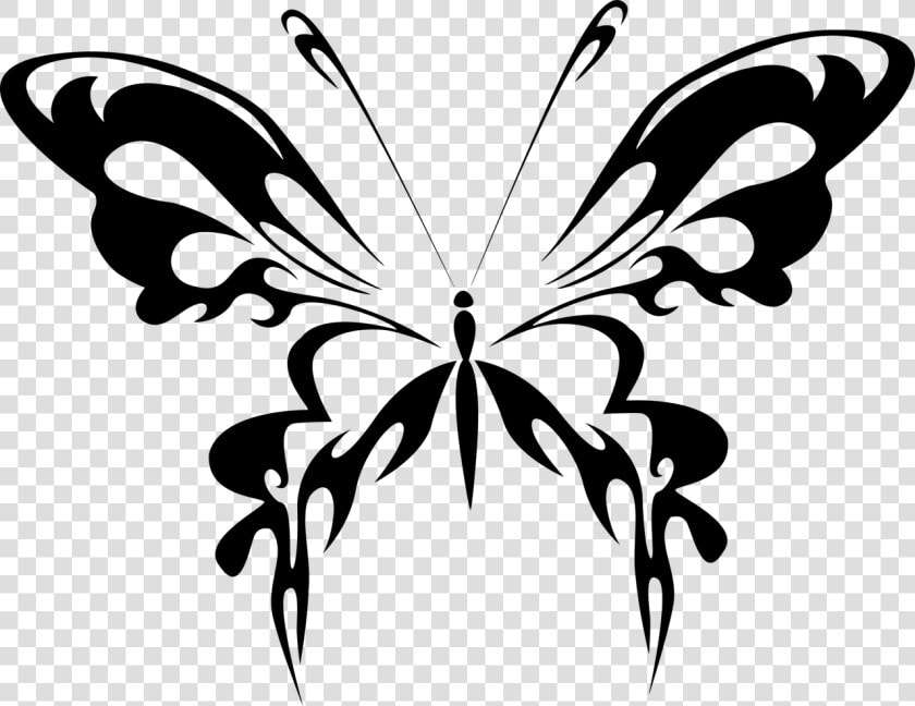 Background Rating  Abstract Butterfly   Gambar Kupu Kupu Hitam Putih Keren  HD Png DownloadTransparent PNG