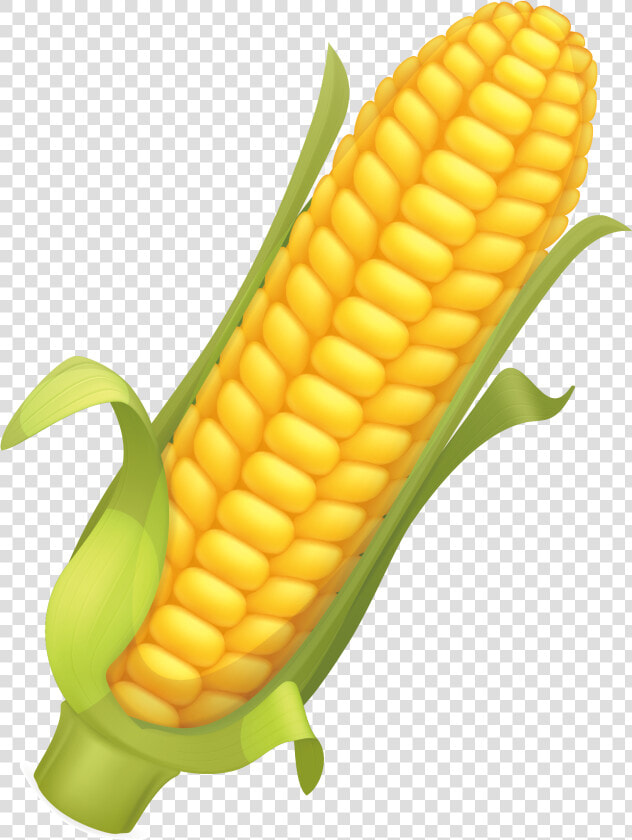 Corn Flakes Maize Corncob Side Dish Png Image   Corncob Png  Transparent PngTransparent PNG